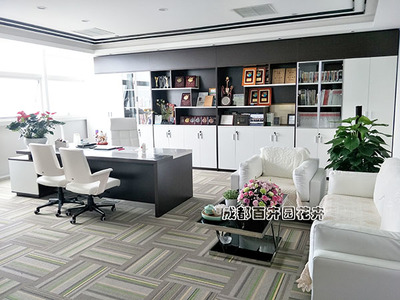 老总办公室花卉绿植租摆案例分享 专业租借与代管理的优势