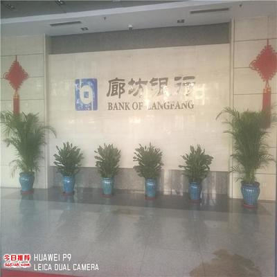 天津专业花卉绿植租摆与销售服务