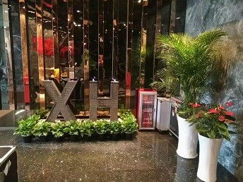 广州鲜花绿植租赁服务 为城市空间注入盎然生机