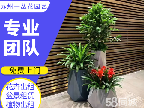 鲜花绿植租赁 打造绿色空间的便捷之选