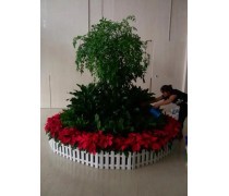 中水喷灌机卷盘式JP50 农业高效浇灌与绿植养护的创新解决方案